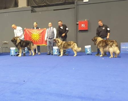 Najleši trije šarplaninci na svetovnem 2024